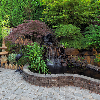 Water Features